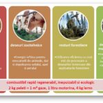 Centrale pe peleti EcoHornet